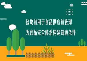 大數(shù)據(jù)與區(qū)塊鏈技術(shù)解決食品安全問題的多維路徑
